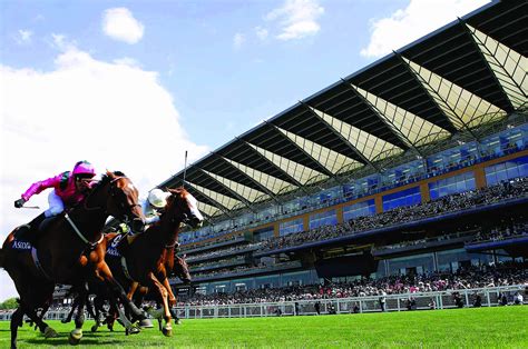 Previews and tips for all 35 races at Royal Ascot .